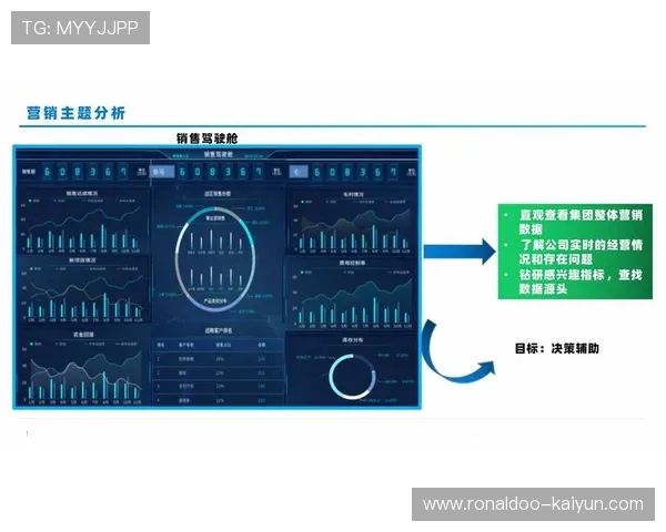 基于足球大数据分析系统的智能决策支持与战术优化研究